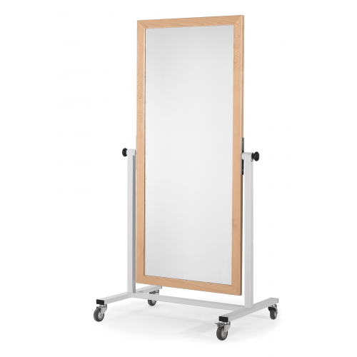 Mobile Hinged Mirror