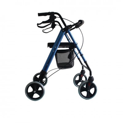Insertable Walker with 4 Wheels and Brakes