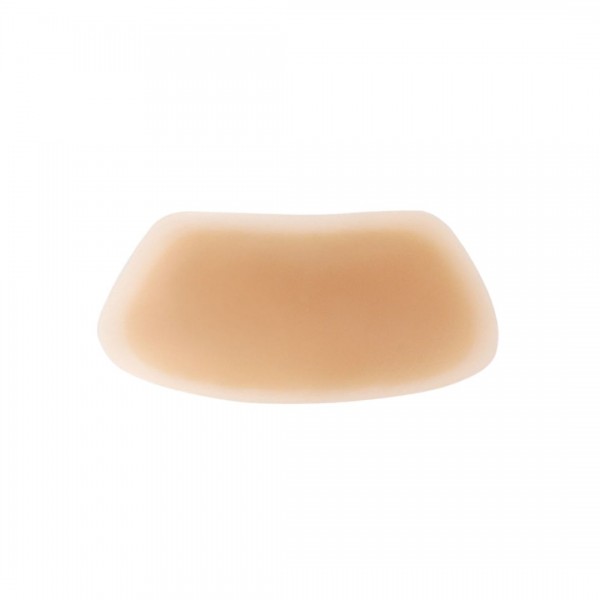 Anita Sequitex 1045X Partial Prosthesis