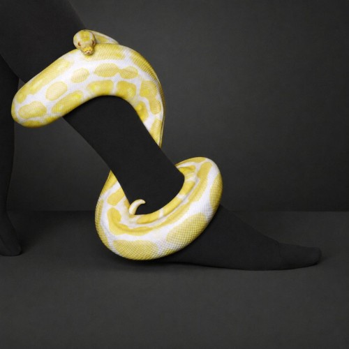 Collant Elástico Move AT 3611 ou 3612 Preto Juzo