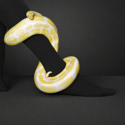 Collant Élastique AT 3611 ou 3612 Noir Juzo | ® Loja Ortopédica