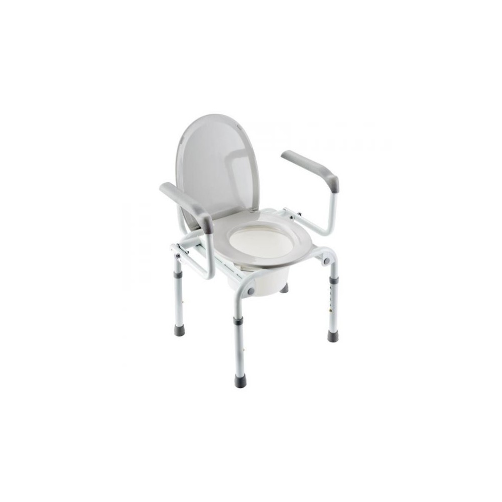 The Chair Of The Health Izzo Invacare
