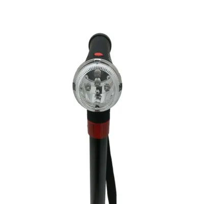 Canne réglable avec lampe torche