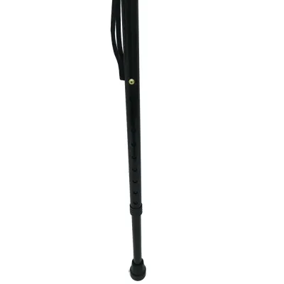 Canne réglable avec lampe torche